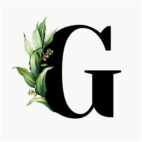 d&g font download.